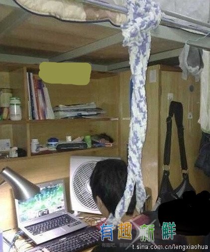 Цͼ֮ѧţ֯