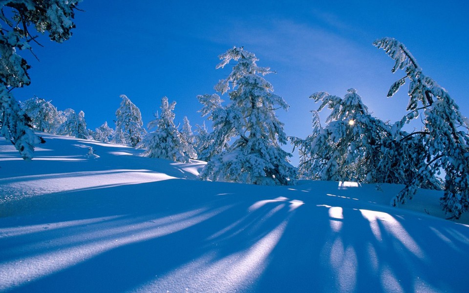 冬季白色雪景高清壁纸 唯一图库