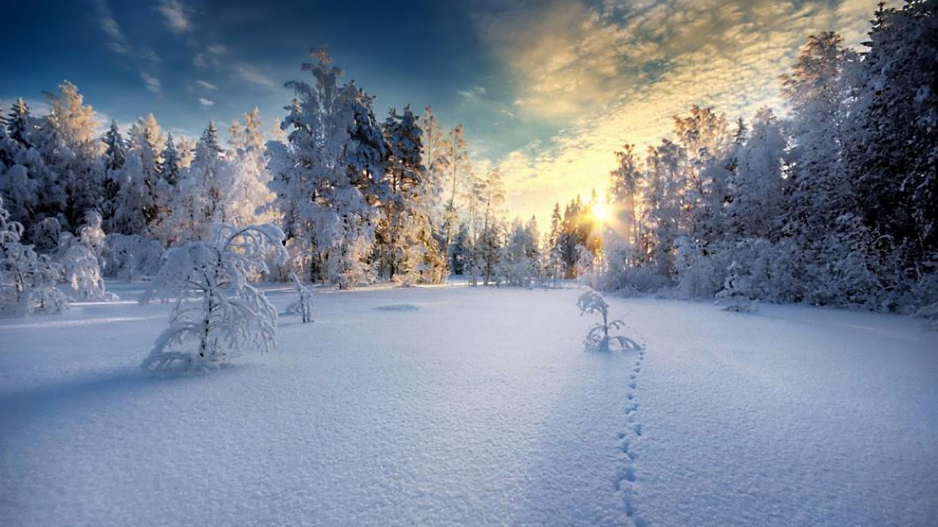 唯美雪景壁纸冬季唯美高清雪景桌面壁纸 糗百小绿皮