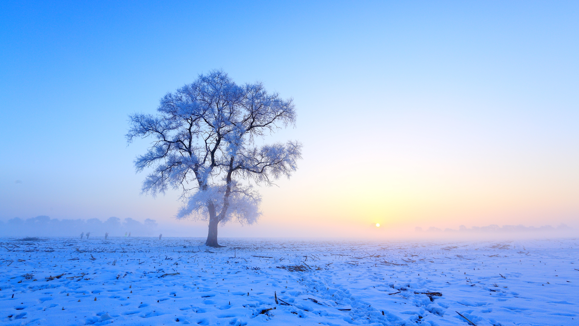 唯美雪景壁纸高清冬季唯美风景雪景高清桌面壁纸 唯一图库