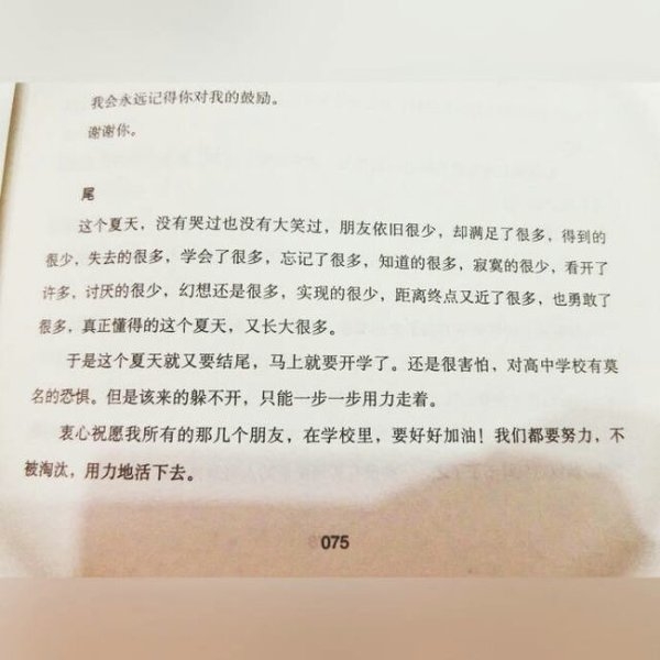 只能止于唇齿 掩于岁月。