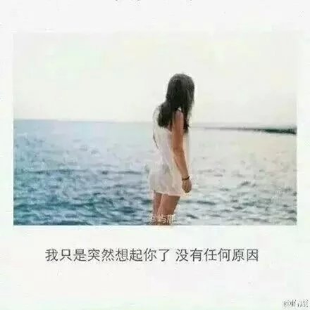 黰ֻ˵