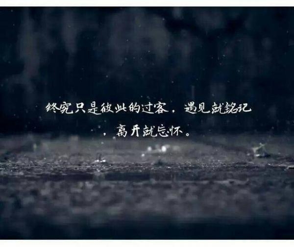 “心有猛虎，细嗅蔷薇。?“以