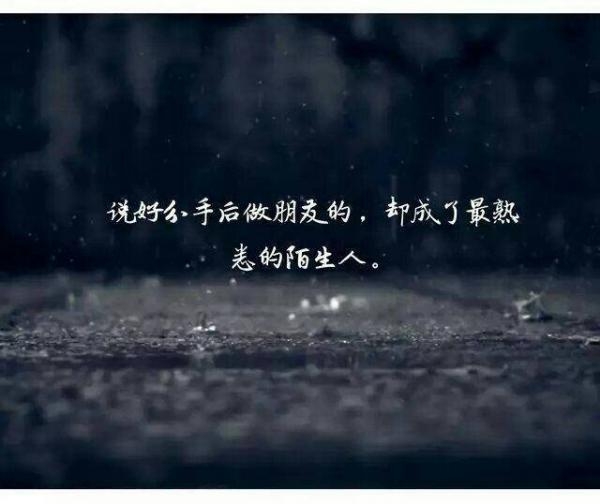 “心有猛虎，细嗅蔷薇。?“以