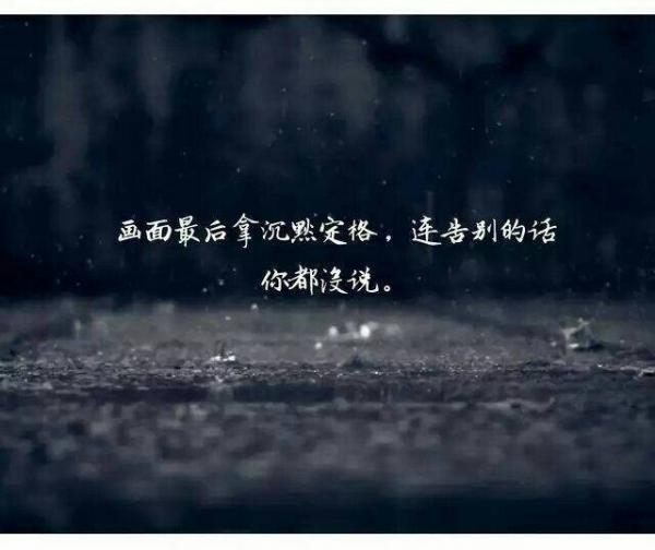 “心有猛虎，细嗅蔷薇。?“以