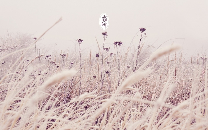 霜降季节日历风景桌面意境壁纸 糗百小绿皮