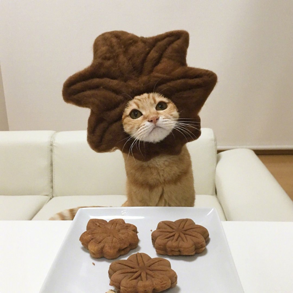 СèʳʦɰȤͼͷͼƬ