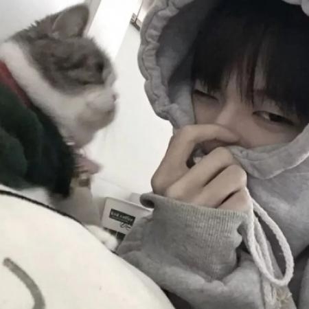 Щ˲ů ͷͼƬ
