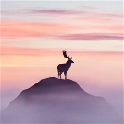 漰ӰͷͼƬ