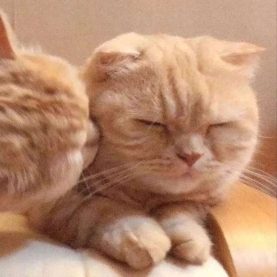 ɫȳè䳬ɰĶͷȫ