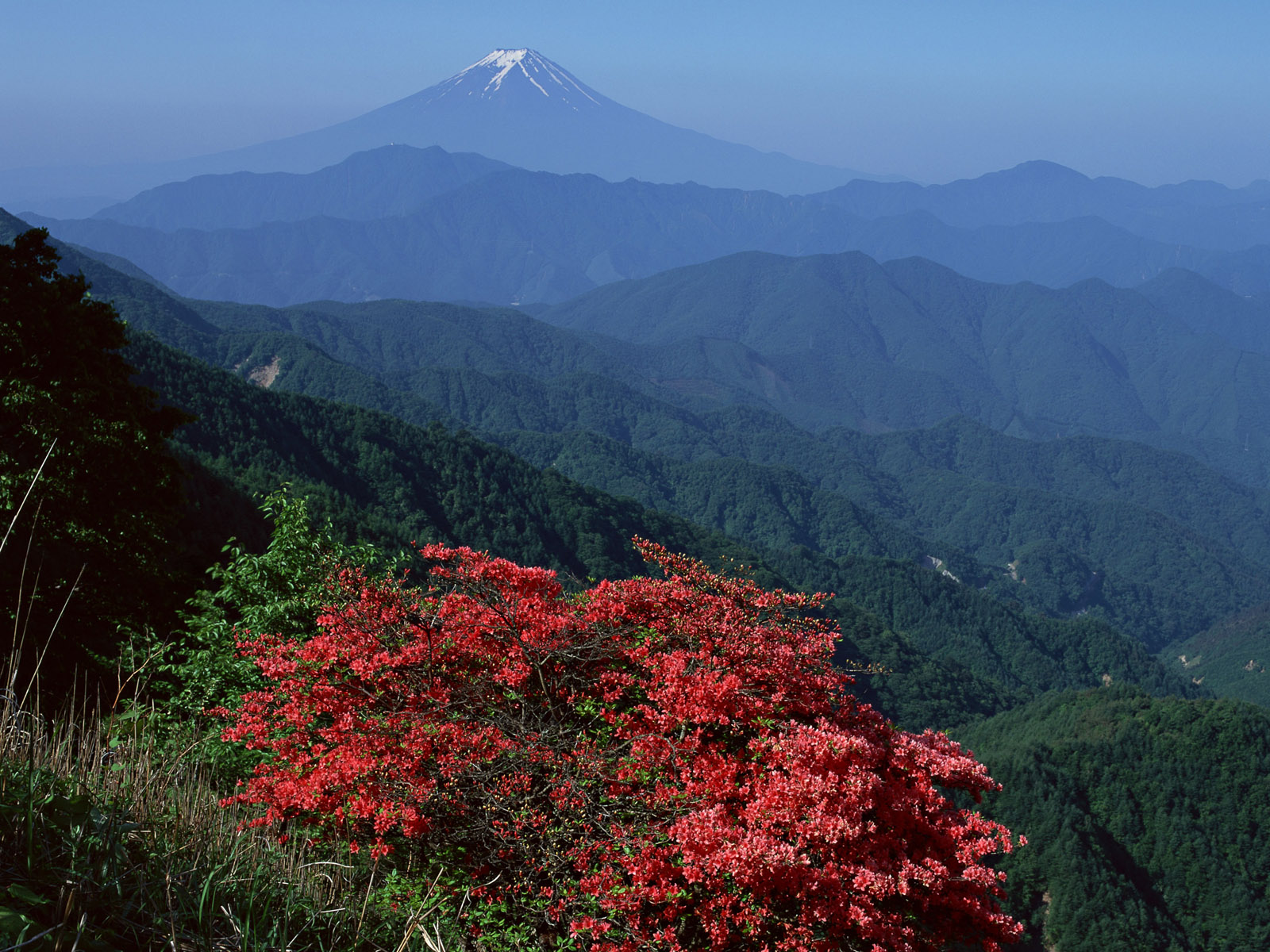 日本富士山图片高清壁纸 唯一图库